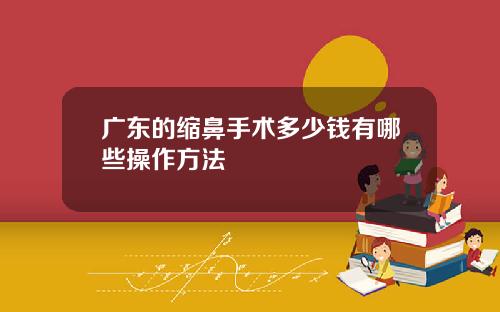 广东的缩鼻手术多少钱有哪些操作方法