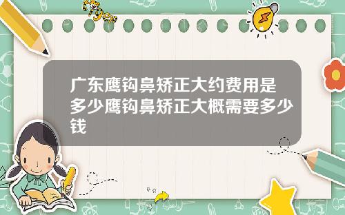 广东鹰钩鼻矫正大约费用是多少鹰钩鼻矫正大概需要多少钱