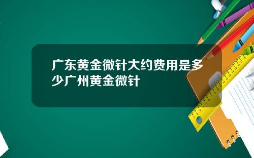 广东黄金微针大约费用是多少广州黄金微针