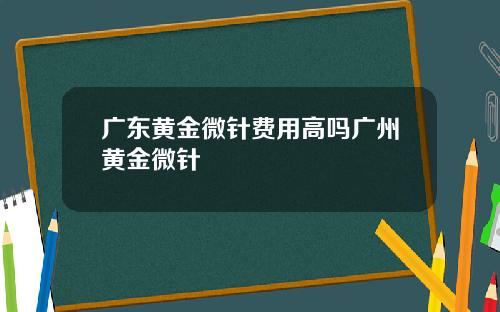 广东黄金微针费用高吗广州黄金微针