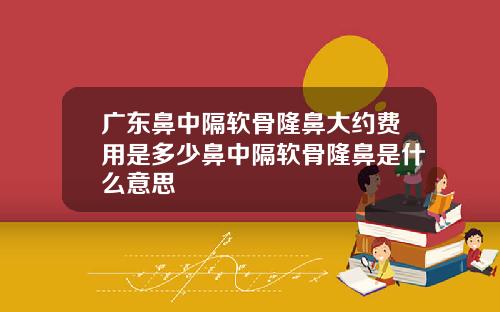 广东鼻中隔软骨隆鼻大约费用是多少鼻中隔软骨隆鼻是什么意思