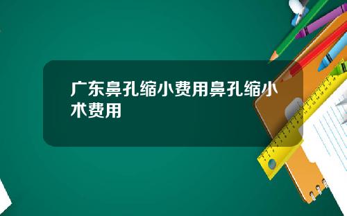 广东鼻孔缩小费用鼻孔缩小术费用