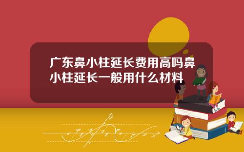 广东鼻小柱延长费用高吗鼻小柱延长一般用什么材料