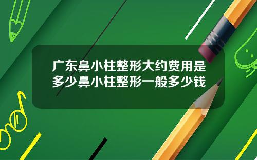 广东鼻小柱整形大约费用是多少鼻小柱整形一般多少钱
