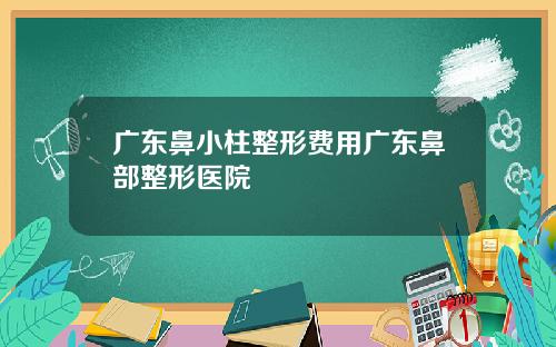 广东鼻小柱整形费用广东鼻部整形医院