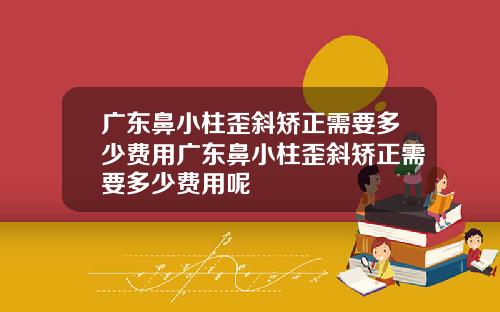 广东鼻小柱歪斜矫正需要多少费用广东鼻小柱歪斜矫正需要多少费用呢