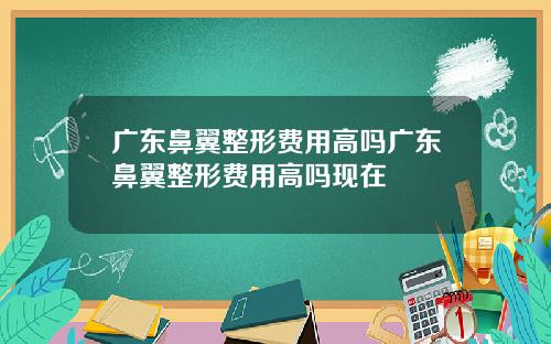 广东鼻翼整形费用高吗广东鼻翼整形费用高吗现在