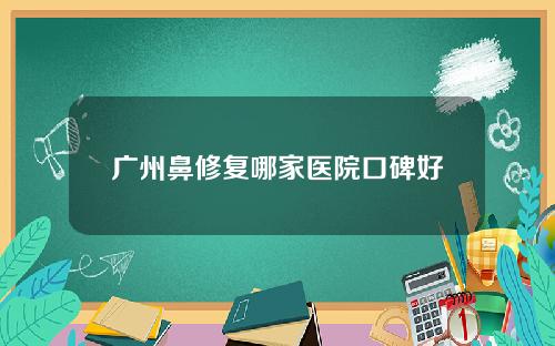 广州鼻修复哪家医院口碑好