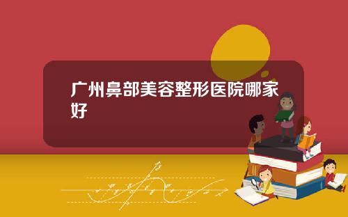 广州鼻部美容整形医院哪家好
