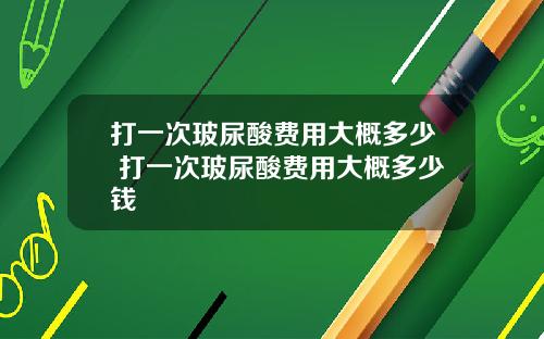 打一次玻尿酸费用大概多少 打一次玻尿酸费用大概多少钱