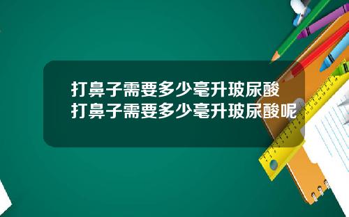 打鼻子需要多少毫升玻尿酸打鼻子需要多少毫升玻尿酸呢