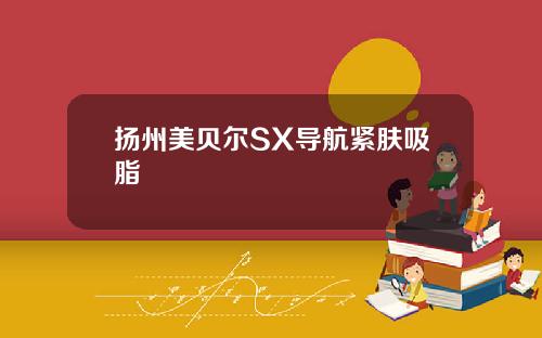 扬州美贝尔SX导航紧肤吸脂