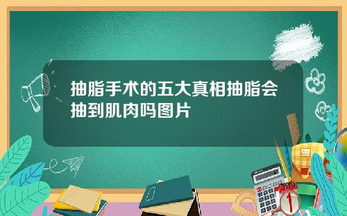 抽脂手术的五大真相抽脂会抽到肌肉吗图片