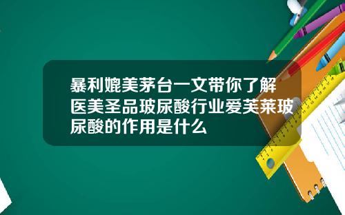 暴利媲美茅台一文带你了解医美圣品玻尿酸行业爱芙莱玻尿酸的作用是什么