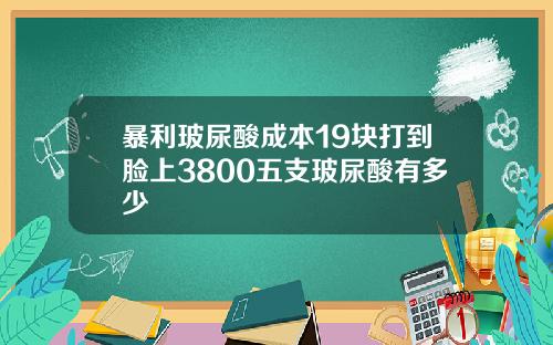 暴利玻尿酸成本19块打到脸上3800五支玻尿酸有多少