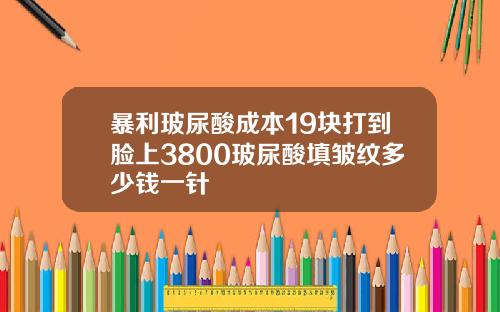 暴利玻尿酸成本19块打到脸上3800玻尿酸填皱纹多少钱一针