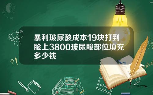暴利玻尿酸成本19块打到脸上3800玻尿酸部位填充多少钱