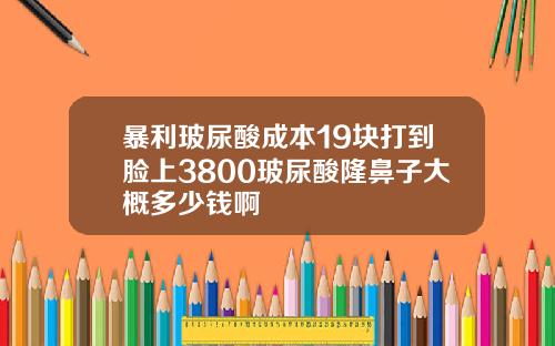 暴利玻尿酸成本19块打到脸上3800玻尿酸隆鼻子大概多少钱啊