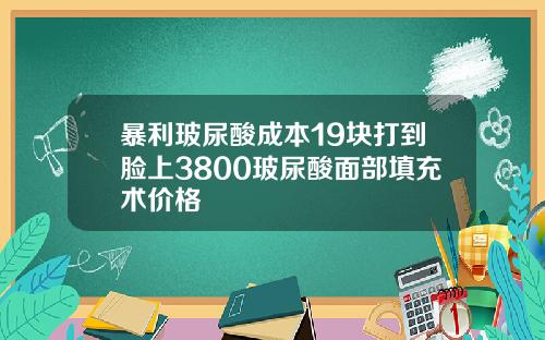 暴利玻尿酸成本19块打到脸上3800玻尿酸面部填充术价格