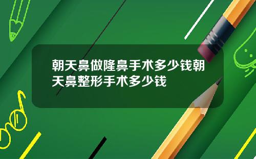朝天鼻做隆鼻手术多少钱朝天鼻整形手术多少钱
