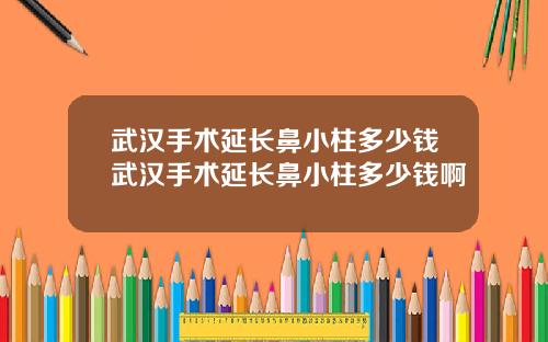 武汉手术延长鼻小柱多少钱武汉手术延长鼻小柱多少钱啊