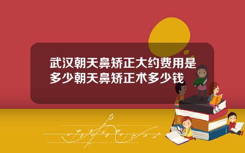 武汉朝天鼻矫正大约费用是多少朝天鼻矫正术多少钱