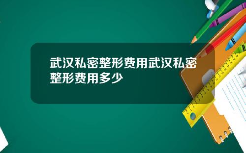武汉私密整形费用武汉私密整形费用多少