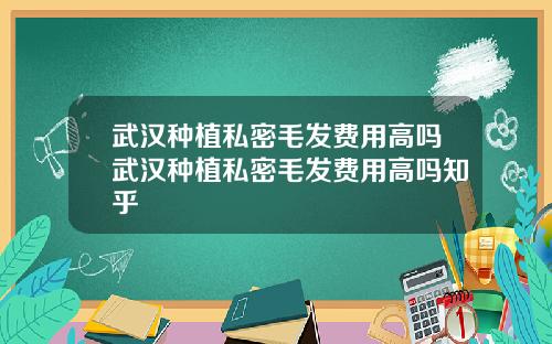 武汉种植私密毛发费用高吗武汉种植私密毛发费用高吗知乎