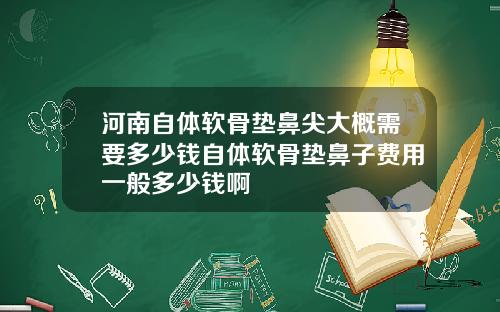 河南自体软骨垫鼻尖大概需要多少钱自体软骨垫鼻子费用一般多少钱啊