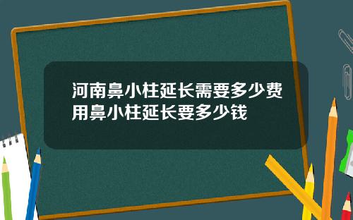 河南鼻小柱延长需要多少费用鼻小柱延长要多少钱
