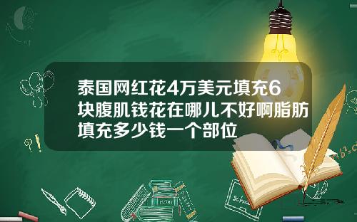 泰国网红花4万美元填充6块腹肌钱花在哪儿不好啊脂肪填充多少钱一个部位