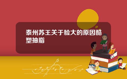 泰州苏王关于脸大的原因酷塑抽脂
