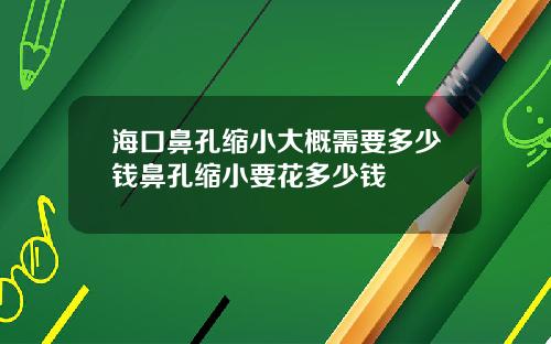 海口鼻孔缩小大概需要多少钱鼻孔缩小要花多少钱