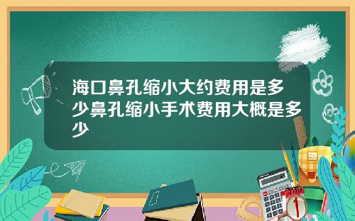 海口鼻孔缩小大约费用是多少鼻孔缩小手术费用大概是多少
