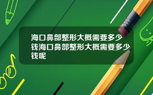 海口鼻部整形大概需要多少钱海口鼻部整形大概需要多少钱呢