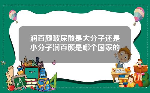 润百颜玻尿酸是大分子还是小分子润百颜是哪个国家的