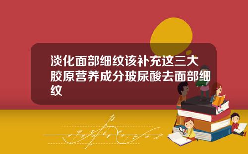 淡化面部细纹该补充这三大胶原营养成分玻尿酸去面部细纹