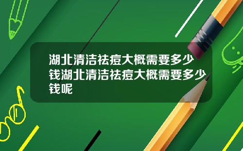 湖北清洁祛痘大概需要多少钱湖北清洁祛痘大概需要多少钱呢