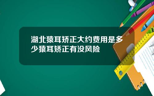 湖北猿耳矫正大约费用是多少猿耳矫正有没风险
