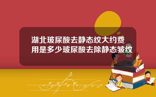湖北玻尿酸去静态纹大约费用是多少玻尿酸去除静态皱纹