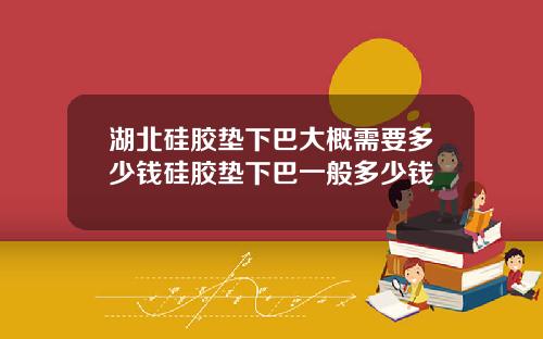 湖北硅胶垫下巴大概需要多少钱硅胶垫下巴一般多少钱