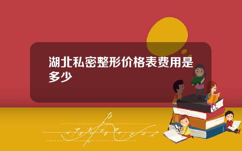 湖北私密整形价格表费用是多少