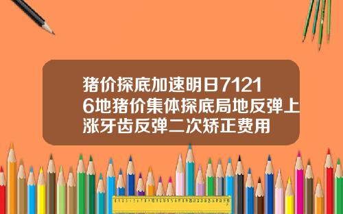 猪价探底加速明日71216地猪价集体探底局地反弹上涨牙齿反弹二次矫正费用