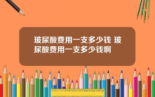玻尿酸费用一支多少钱 玻尿酸费用一支多少钱啊