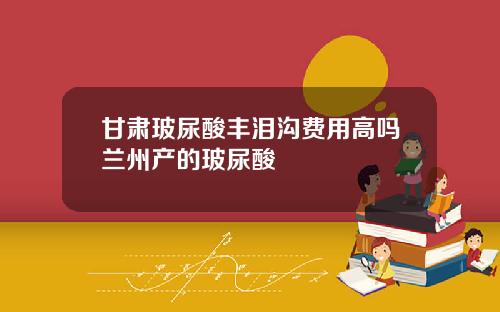 甘肃玻尿酸丰泪沟费用高吗兰州产的玻尿酸