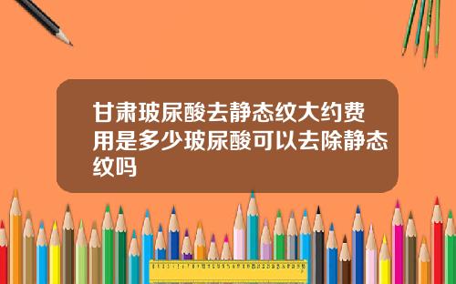 甘肃玻尿酸去静态纹大约费用是多少玻尿酸可以去除静态纹吗
