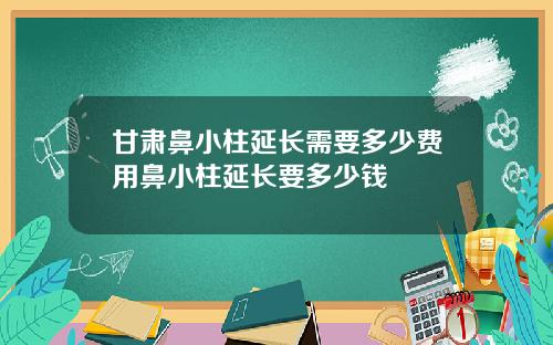 甘肃鼻小柱延长需要多少费用鼻小柱延长要多少钱