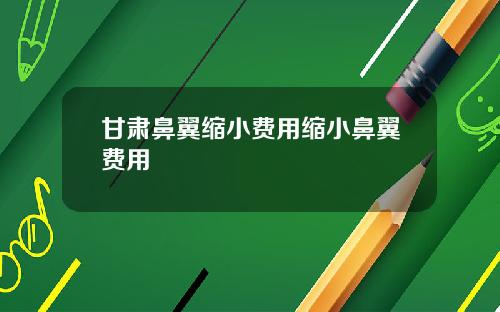 甘肃鼻翼缩小费用缩小鼻翼费用