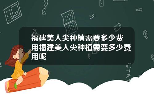 福建美人尖种植需要多少费用福建美人尖种植需要多少费用呢
