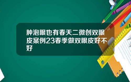 肿泡眼也有春天二微创双眼皮案例23春季做双眼皮好不好